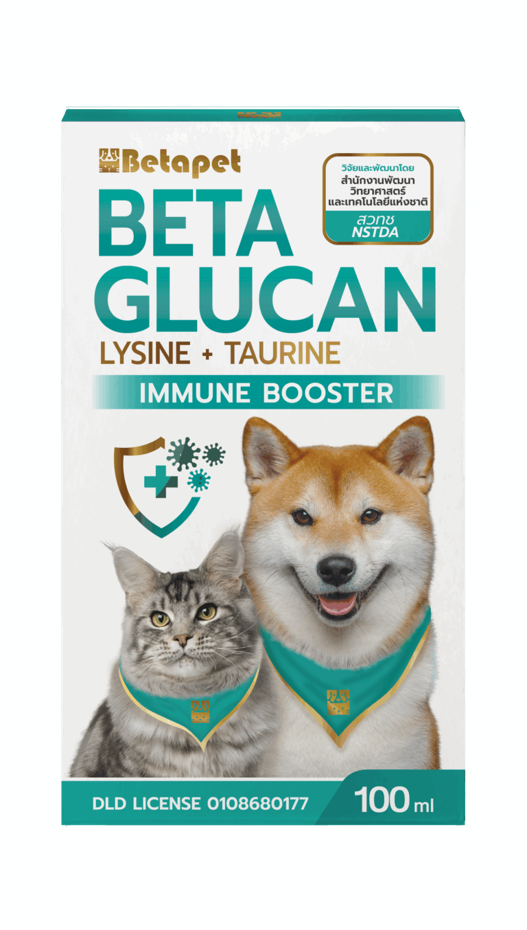 BOX PACKAGING- กล่อง Beta-หน้า